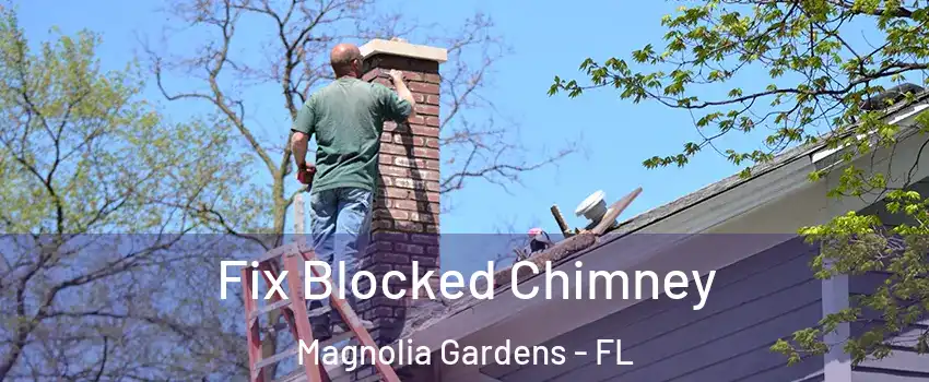 Fix Blocked Chimney Magnolia Gardens - FL