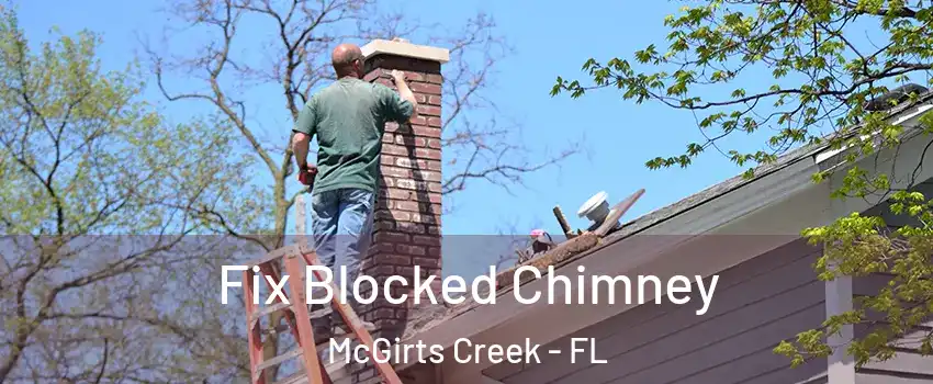 Fix Blocked Chimney McGirts Creek - FL