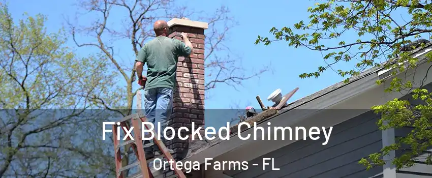 Fix Blocked Chimney Ortega Farms - FL