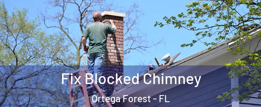 Fix Blocked Chimney Ortega Forest - FL