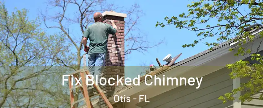 Fix Blocked Chimney Otis - FL