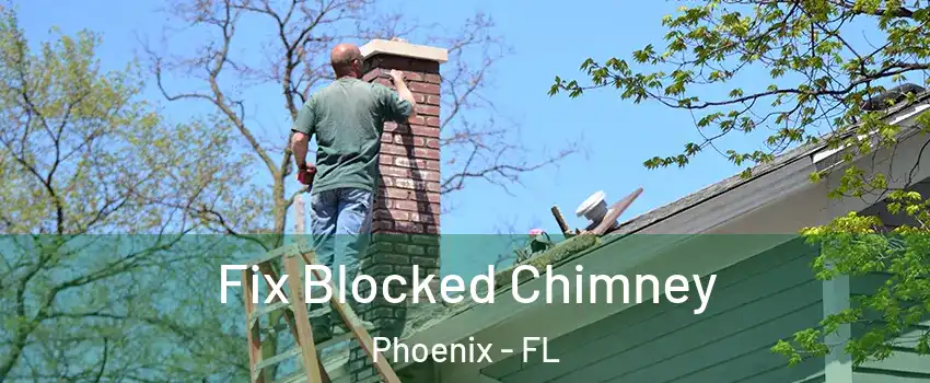 Fix Blocked Chimney Phoenix - FL