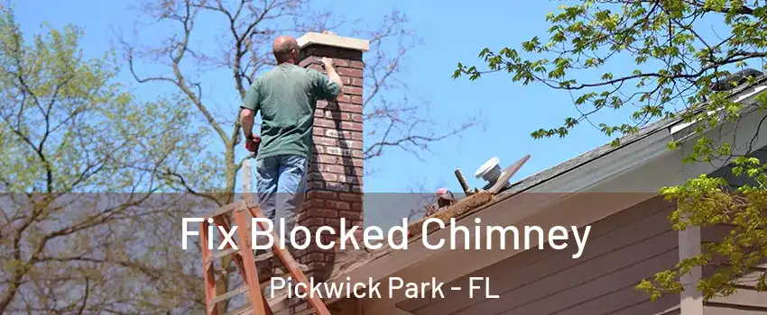 Fix Blocked Chimney Pickwick Park - FL