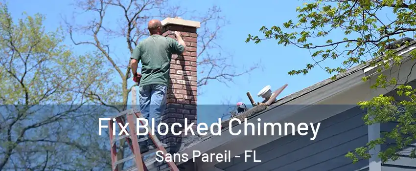 Fix Blocked Chimney Sans Pareil - FL