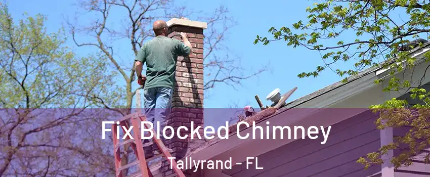 Fix Blocked Chimney Tallyrand - FL