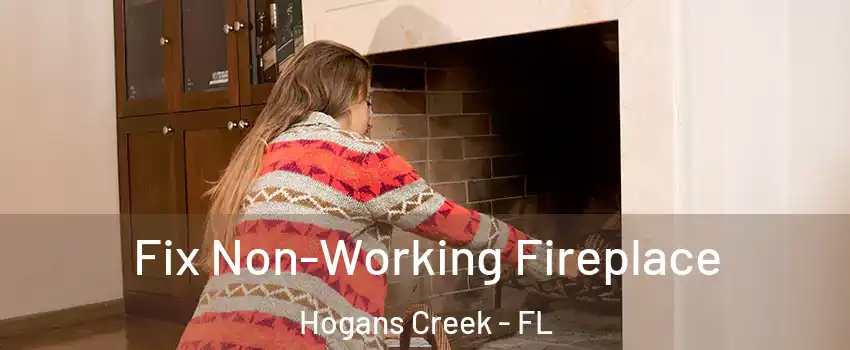 Fix Non-Working Fireplace Hogans Creek - FL