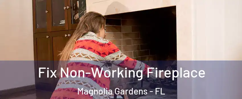 Fix Non-Working Fireplace Magnolia Gardens - FL