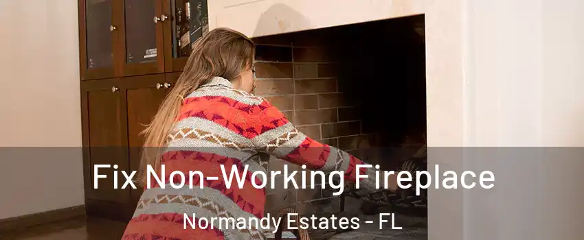 Fix Non-Working Fireplace Normandy Estates - FL