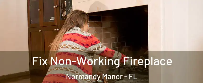 Fix Non-Working Fireplace Normandy Manor - FL