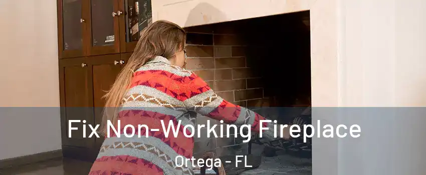 Fix Non-Working Fireplace Ortega - FL