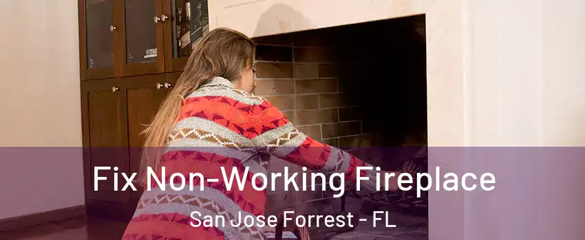 Fix Non-Working Fireplace San Jose Forrest - FL