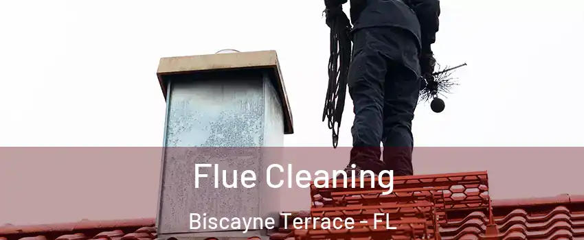 Flue Cleaning Biscayne Terrace - FL