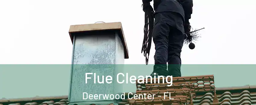 Flue Cleaning Deerwood Center - FL