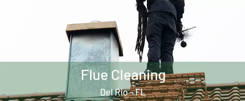 Flue Cleaning Del Rio - FL