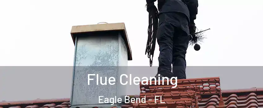 Flue Cleaning Eagle Bend - FL