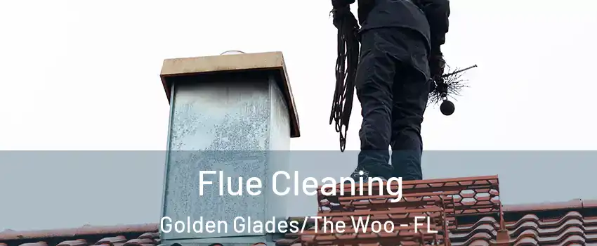 Flue Cleaning Golden Glades/The Woo - FL