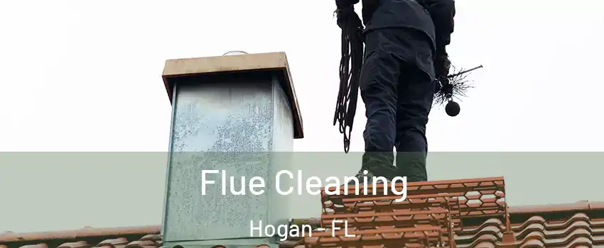 Flue Cleaning Hogan - FL