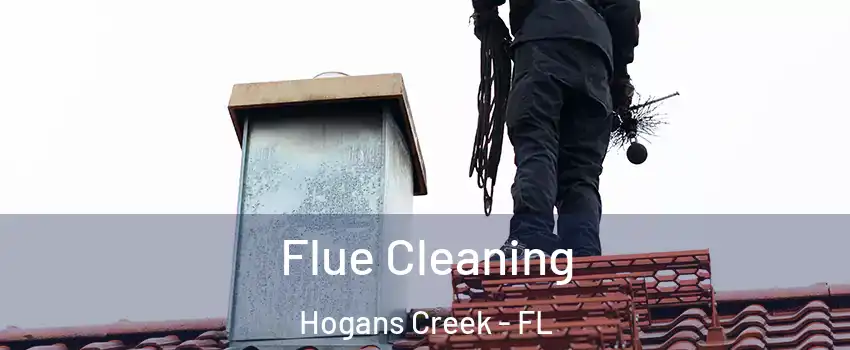 Flue Cleaning Hogans Creek - FL