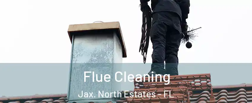 Flue Cleaning Jax. North Estates - FL