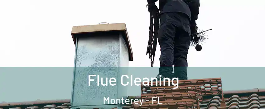 Flue Cleaning Monterey - FL