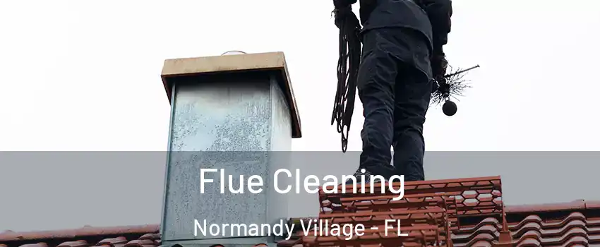 Flue Cleaning Normandy Village - FL