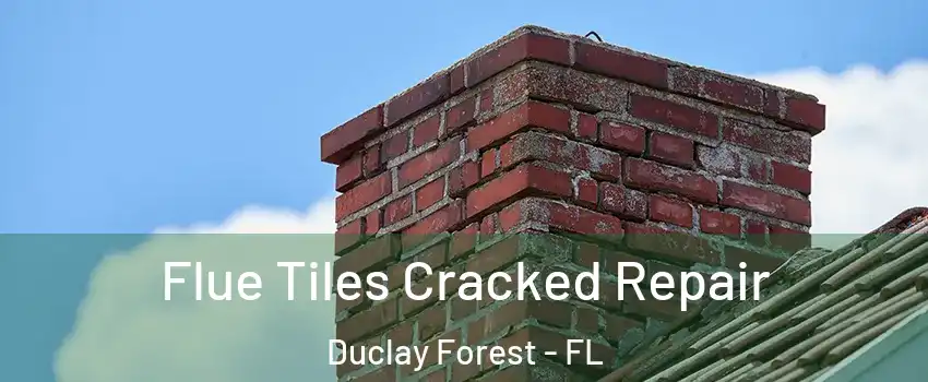 Flue Tiles Cracked Repair Duclay Forest - FL