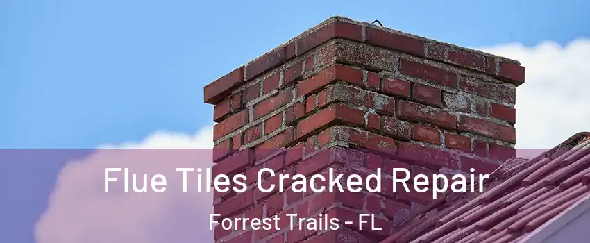 Flue Tiles Cracked Repair Forrest Trails - FL