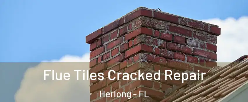 Flue Tiles Cracked Repair Herlong - FL