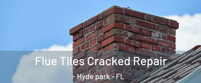 Flue Tiles Cracked Repair Hyde park - FL