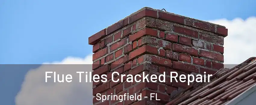 Flue Tiles Cracked Repair Springfield - FL