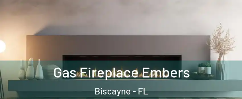 Gas Fireplace Embers Biscayne - FL