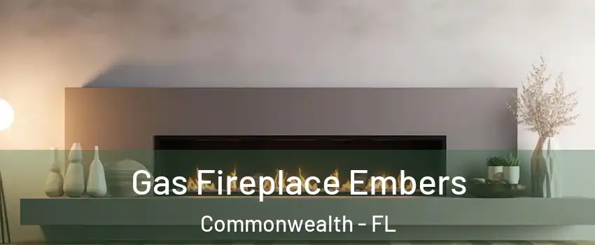 Gas Fireplace Embers Commonwealth - FL