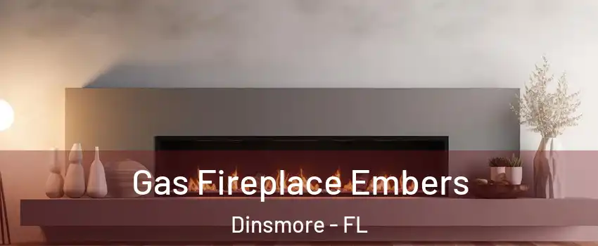 Gas Fireplace Embers Dinsmore - FL