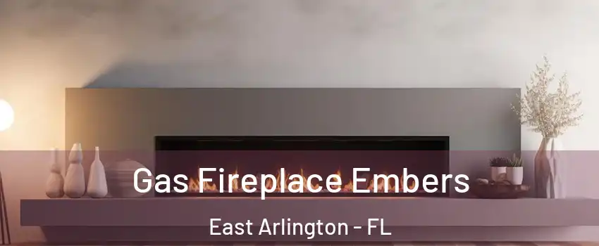 Gas Fireplace Embers East Arlington - FL