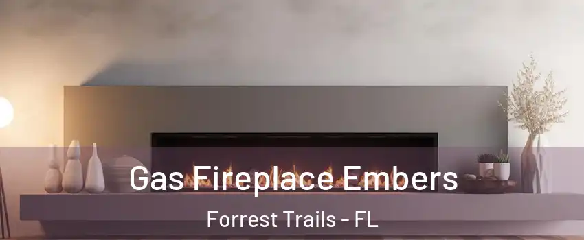 Gas Fireplace Embers Forrest Trails - FL