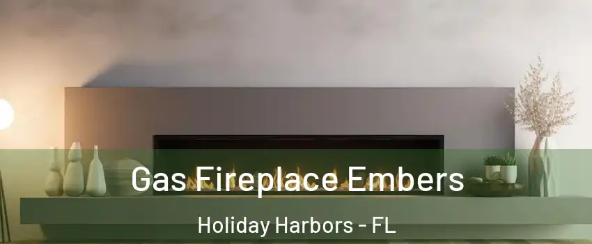 Gas Fireplace Embers Holiday Harbors - FL