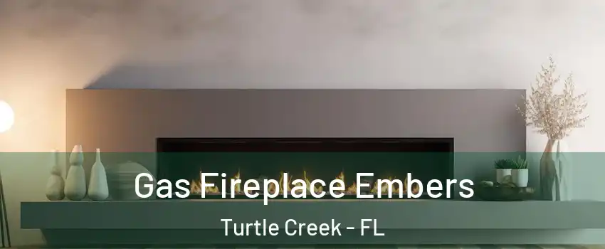 Gas Fireplace Embers Turtle Creek - FL