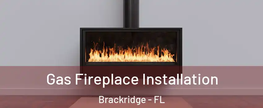 Gas Fireplace Installation Brackridge - FL