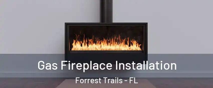 Gas Fireplace Installation Forrest Trails - FL