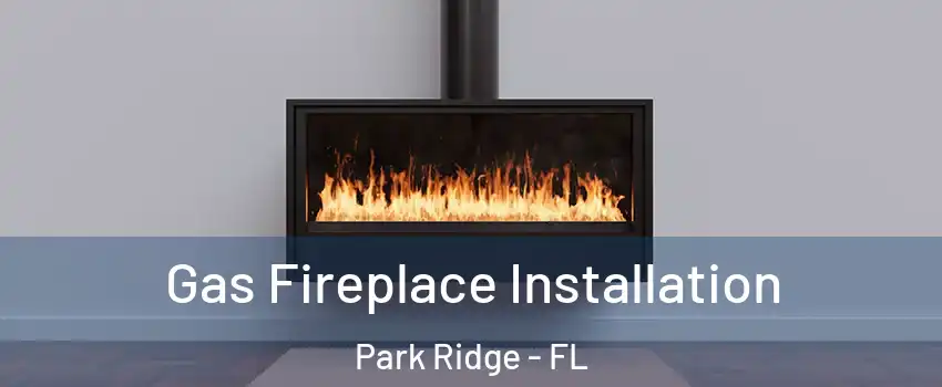 Gas Fireplace Installation Park Ridge - FL