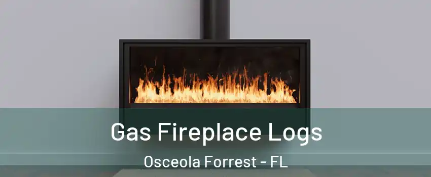 Gas Fireplace Logs Osceola Forrest - FL