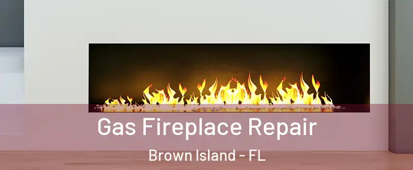 Gas Fireplace Repair Brown Island - FL