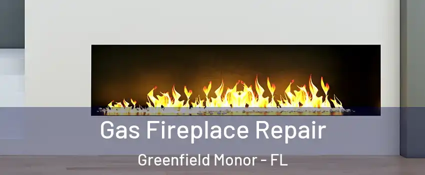 Gas Fireplace Repair Greenfield Monor - FL