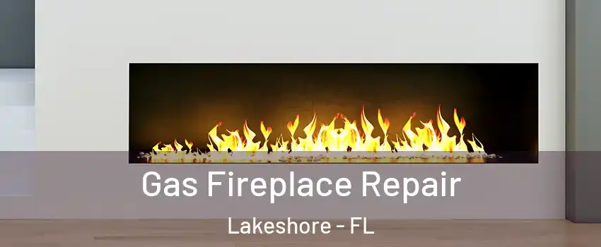 Gas Fireplace Repair Lakeshore - FL