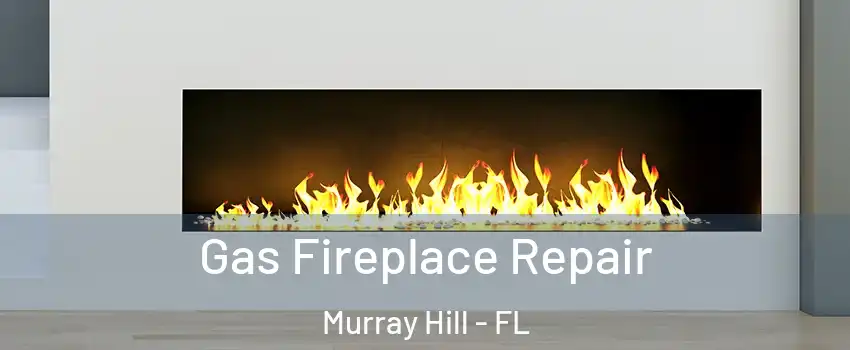 Gas Fireplace Repair Murray Hill - FL