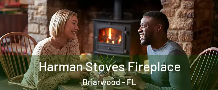 Harman Stoves Fireplace Briarwood - FL