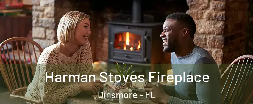 Harman Stoves Fireplace Dinsmore - FL