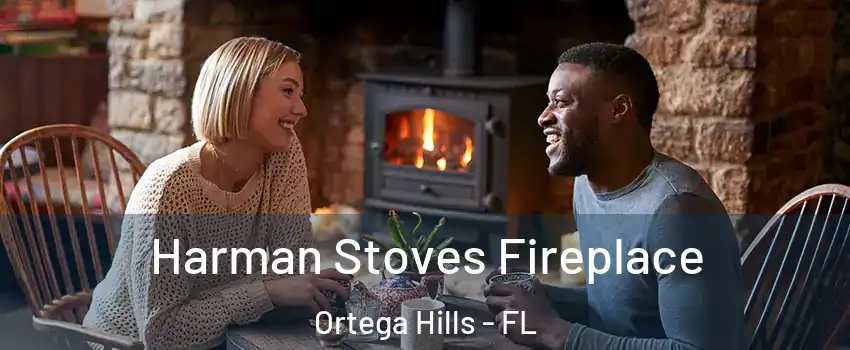 Harman Stoves Fireplace Ortega Hills - FL