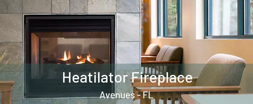 Heatilator Fireplace Avenues - FL