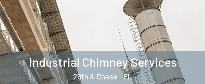 Industrial Chimney Services 29th & Chase - FL